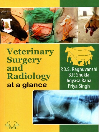 Veterinary Surgery And Rediology at a Glance