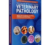 Model Questions And Self Assessment Textbook Of Illustrated Veterinary Pathology