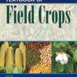 Textbook of Field Crops