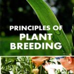 Principles of Plant Breeding