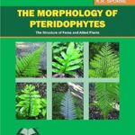 The Morphology of Pteridophytes - The Structure of Ferns and Apllied Plants
