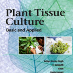 Plant Tissue Culture Basic and Applied