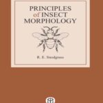 Principles of Insect Morphology