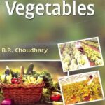 Vegetables