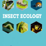 Insect Ecology