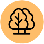 AshaBookHouse Forestry
