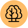 AshaBookHouse Forestry