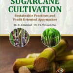 Sugarcane Cultivation Sustainable Practices and Profit Oriented Approaches