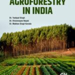 Agroforestry in India